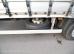 DAF XF 480 FAR Wielton 18+20 Pallets KomplettZug Tandem
