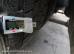 DAF FT XF105.460