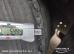 Schmitz SCS 24/L Multilock XL Anti-theft protection